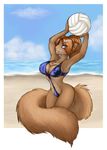  beach blue_eyes chest_tuft clouds female hair ocean rodent seaside sky solo squirrel swimsuit volleyball 