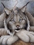  cute duo feline feral kyoht_luterman lynx mammal mouse rodent size_difference 