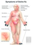  cross_section influenza male nude parody pig porcine swatcher swine_flu transformation 