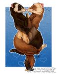  &hearts; ambiguous_gender couple cute entwined entwined_tails feral ferret whitewolf 