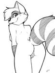  ajin anus breasts female looking_at_viewer looking_over_shoulder nude pussy raccoon raised_tail side_boob sketch solo tail 