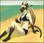  beach bikini cat catdragon clothing dragoncat feline female headphones horns ipod jailbird kace music ocean sand sea seaside siamese skimpy solo stripes swimsuit tail water wings 