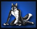  2005 abs balls blank_background blue_eyes canine colored dog ear_tufts framed hindpaw husky kneeling male nude pose sheath smile solo tail tani_da_real wolf 