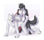 all_fours anal anal_penetration blue_eyes canine canine_penis collar dog doggy_position eyes_closed eyes_open from_behind gay grey husky knot leash male nude penetration precum raised_tail rape straydog style tail white 