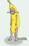  banana bandage basitin costume cute keith_(twokinds) male solo tail tom_fischbach twokinds 