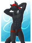  bandanna black_nose black_penis canine eclipsewolf flaccid headphones hi_res looking_at_viewer lupine_assassin penis solo speedo standing underwear wolf 