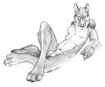  balls blackteagan canine canine_penis male nude penis sheath solo wolf 
