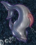  anus blush cetacean cum dolphin feral male marine narse penis solo upside_down 