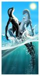  breasts cetacean dolphin eyes_closed female male marine nude orca outside penetration penis pussy quillu sex straight sun vaginal vaginal_penetration water wet 