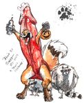  blotch canine canine_penis costume fox humour lol male raccoon 