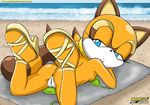 anus beach blue_eyes brown female looking_at_viewer marine_the_raccoon mobius_unleashed nude on_front orange palcomix pussy sand sandals seaside shoes sonic_(series) tail towel white 