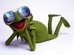  4:3 frog kermit_the_frog muppets solo standard_monitor sunglasses wallpaper 