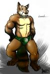  buff bulge foxcoon hakijagu1 male maneater muscles ryke solo underwear 