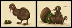  avian baby bird cute dolphy egg female kiwi mother 