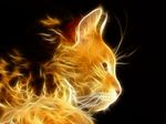  cat feline fire nueschi photo_manipulation solo yellow 