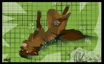  bubbles canine feral hindpaw lucketh solo underwater 
