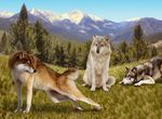 canine cum ebon_lupus female feral male mountain outside penis photorealism presenting wolf 