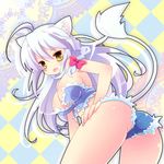  :o ahoge animal_ears ass breasts bustier cat_ears cat_tail cleavage cutoffs dog_days fang large_breasts legs leonmitchelli_galette_des_rois lingerie long_hair short_shorts shorts sideboob solo suzuki_kokono tail thighs underwear white_hair yellow_eyes 