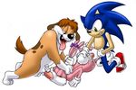  animaniacs babs_bunny palcomix rita_and_runt runt sonic_team sonic_the_hedgehog tiny_toon_adventures 