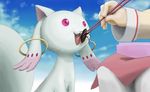  :3 chopsticks cockroach eating feeding insect kyubey kyuubee mahou_shoujo_madoka_magica obentou open_mouth pink_eyes raremetal sky 