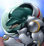  2005 cetacean dolphin karabiner kenran_butoh_sai marine poipoider solo 