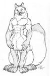  canine fox male muscles nude richard_foley solo taur 