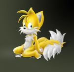  2007 blue_eyes canine cum dmilesfox fox kitsune male miles_prower multiple_tails penis sitting solo sonic_(series) tail yellow 