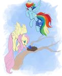  bird blue blue_eyes blue_fur bluebird equine feathers female feral fluttershy_(mlp) friendship_is_magic fur hair horse mammal multi-colored_hair my_little_pony nest noel pegasus pink_hair pony rainbow_dash_(mlp) rainbow_hair red_eyes sky tree wings wood yellow yellow_fur 