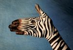  bodypaint equine eyefuck feral human photo real what zebra 