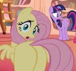  equine female feral fluttershy_(mlp) friendship_is_magic horn horse image_macro low_res mammal my_little_pony pegasus pony screencap twilight_sparkle_(mlp) unicorn unknown_artist wings 