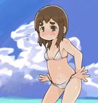  bikini bikini_lift blush breasts brown_eyes brown_hair cleavage cloud day eyebrows lifted_by_self megane_chuu mitsudomoe navel sky small_breasts solo swimsuit water yoshioka_yuki 