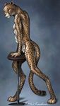  anthro feline flaccid karabiner leopard male mammal nude penis solo uncut 