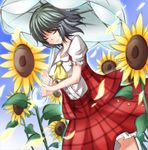  ascot bad_id bad_pixiv_id blush breasts closed_eyes flower green_hair itoo kazami_yuuka medium_breasts petals plaid plaid_skirt plaid_vest short_hair skirt skirt_set solo sunflower touhou umbrella vest 