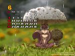  2007 4:3 calendar dr_comet female micro mushroom rain_shower rodent shelter solo squirrel summer toadstool wallpaper 