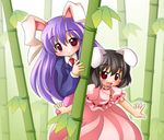 animal_ears bamboo bamboo_forest brown_hair bunny_ears carrot carrot_necklace dress forest highres inaba_tewi jewelry multiple_girls nature necklace pendant purple_hair red_eyes reisen_udongein_inaba shinjitsu touhou 