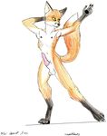  aroused balls canine color erection fox hi_res knot large_image male nipples nude penis pose raised solo tail white_background wred wred_character 