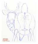  2007 anus bell cervine crotchboob cum deer female feral hooves horns looking_at_viewer messy pregnant presenting pussy raised_tail randy_muledeer reindeer sketch solo tail udders wet 