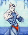  08 abs annoying_watermark anthro blue blue_body bulge canine clothed clothing fists flexing half-dressed ice looking_at_viewer male mammal marker_(art) markers muscles pose solo speedo swimsuit tail thong topless underwear watermark wolfgangcake yellow-eyes yellow_eyes 