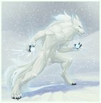  canine chest_tuft claws epic fur glowing hair hindpaw ice male mammal paws snarl snarling snow snowball solo storm tail tuft white white_eyes white_fur wold wolf 