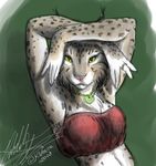  clothed clothing feline female ksharra looking_at_viewer lynx mammal necklace skimpy solo tasha 