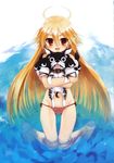  ahoge barefoot bikini blonde_hair boston_terrier cerberus collar dog happy highres hug kneeling koin_(foxmark) long_hair looking_at_viewer multiple_heads original pointy_ears red_eyes side-tie_bikini solo swimsuit terrier_(dog) very_long_hair water 