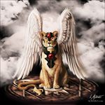  aokiiro armor card_captor_sakura feline female jewelry kero lion lioness tail wings 
