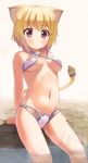  animal_ears bad_id bad_pixiv_id bikini blonde_hair breasts brown_eyes cat_ears highres lion_tail medium_breasts navel original pool poolside sawada_yuusuke sitting soaking_feet solo swimsuit tail underboob water 