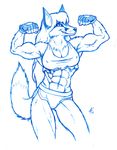  canine eric_elliott female flexing fox grin hi_res iisaw muscles nipples pencils solo vicki_f vixen 