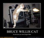  awesome bullet_hole cat epic feline gun television weapon win 