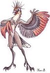  ambiguous_gender avian bird claws f0xyme hoatzin_(bird) nude solo wings 