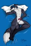  balls black blue blue_hair canine circumcised eyes_closed fox hair kraehi lying male morning_wood penis pillow sleeping solo 