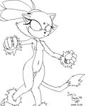  2006 anthro blaze_the_cat breasts female pussy solo sonic_dash tail 