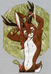  antlers carrot dhstein horn horns jackalope lagomorph male mammal rabbit solo topless 
