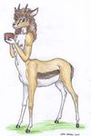  2004 antelope breasts female gazelle horns looking_at_viewer nude opal_weasel pottery solo taur 